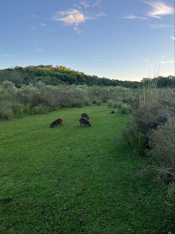 Campo 221 há Caza Mayor y Turismo sobre Ruta 98 — Sierra, A
