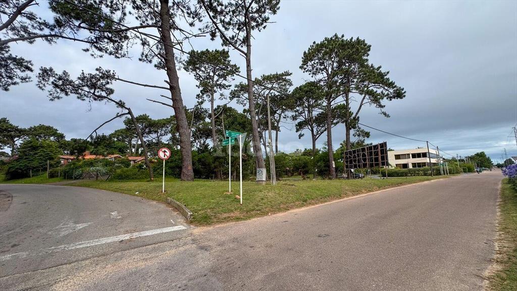 2 TERRENOS CON EXCELENTE UBICACIÓN EN PUNTA DEL ESTE