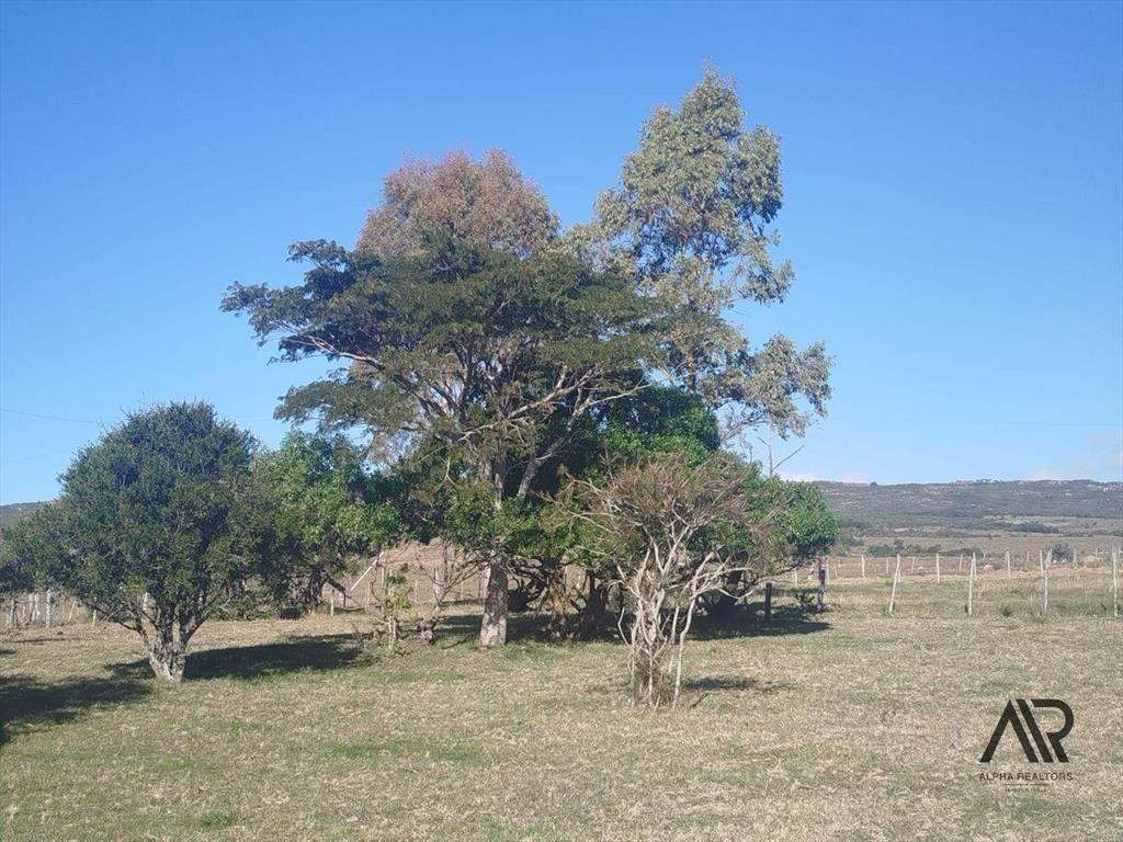 Chacra de 28 hectáreas, con casa y lindera al Arroyo San...