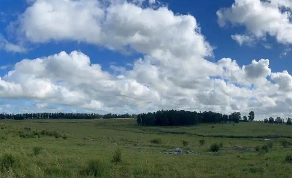 Chacras de 3 hectáreas con caminería interna, suministro de