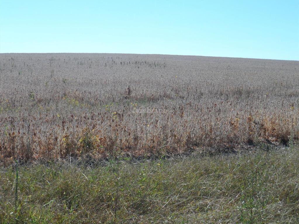 Estancia Agricola Ganadera 1600 ha en Paysandú