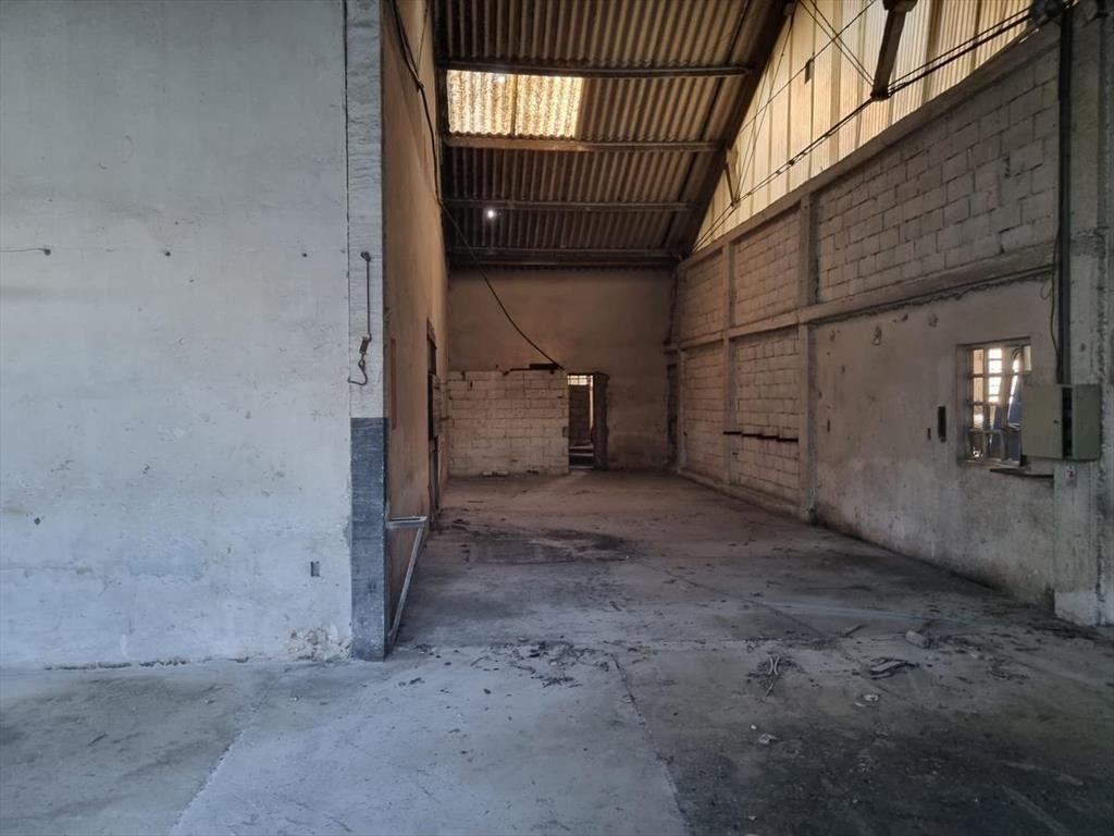 Proximo ruta 102 y Belloni, 1600 m2 con baños, vestuarios y
