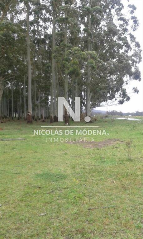 Campo próximo a ruta 12