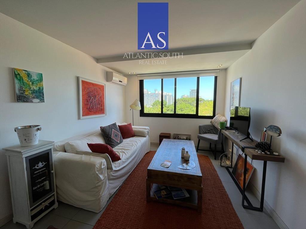Apartamento 1 dormitorio piso alto con vista en