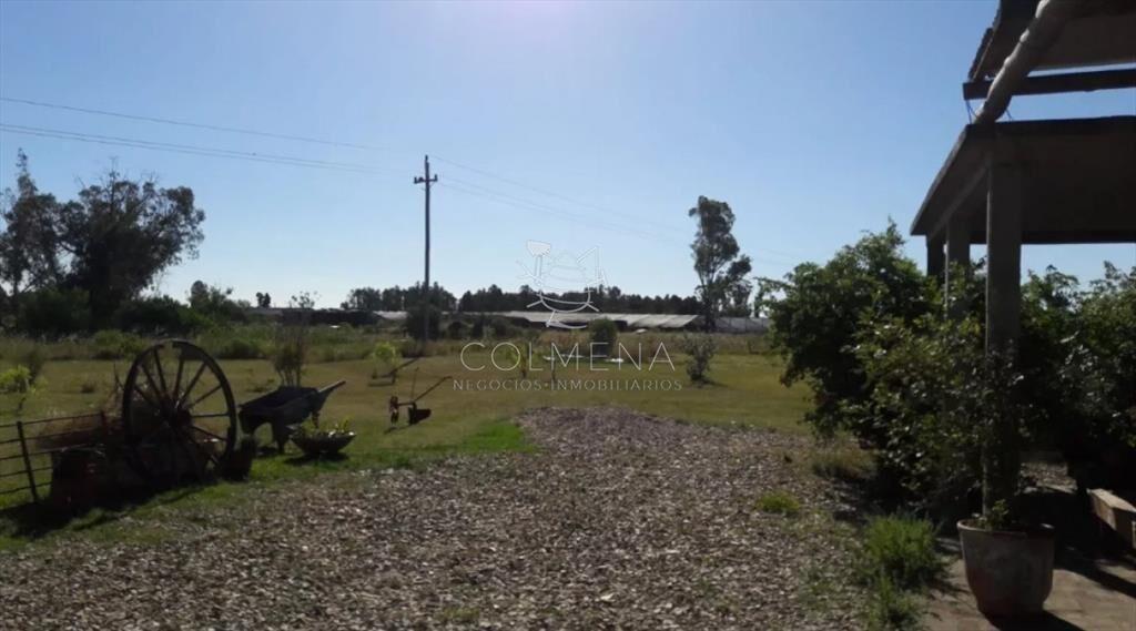 -Chacra de 3 hectáreas en San Carlos.