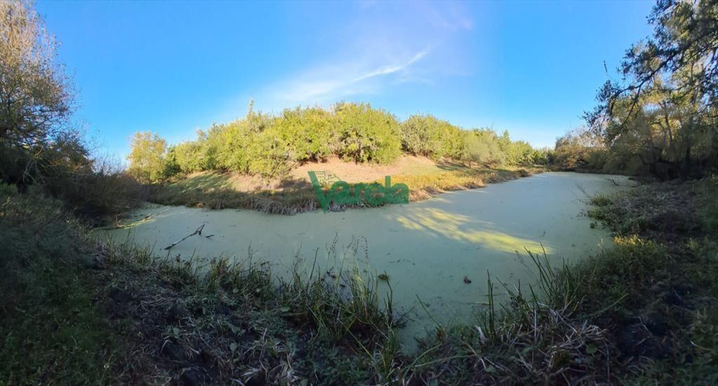 Campo 108 has. próximo a San Jacinto