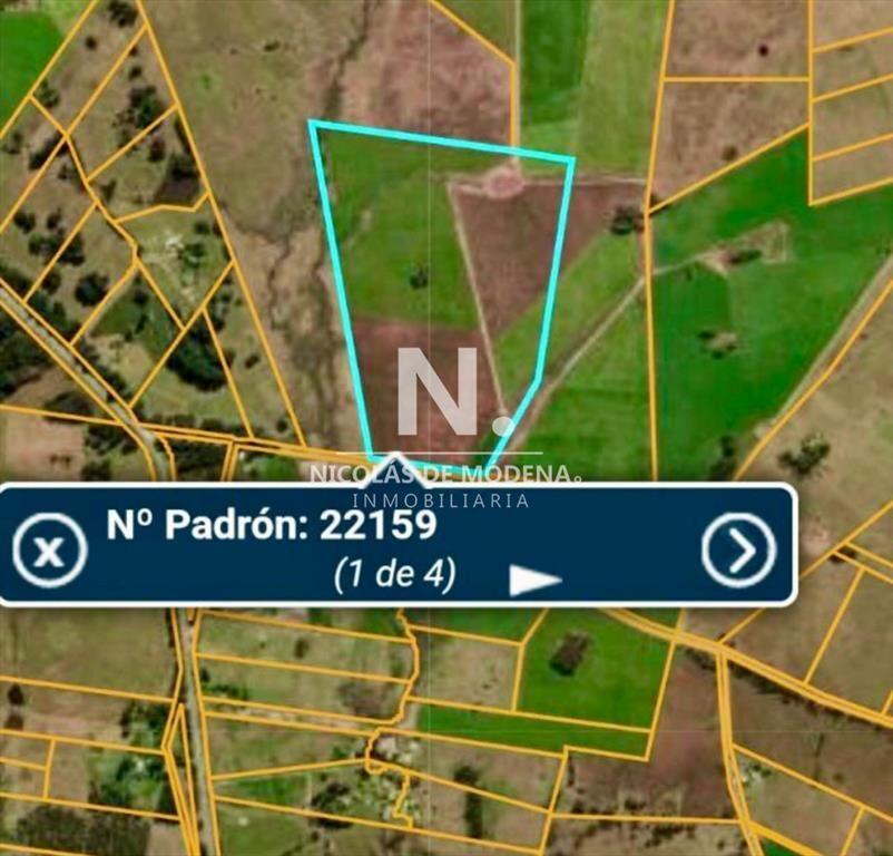 Campo de 42 Hectáreas con Alto Potencial de y -