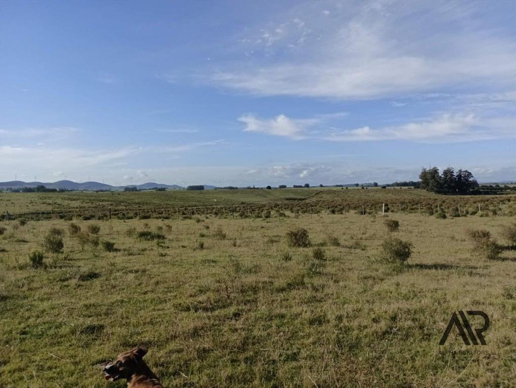 Venta Muy Buen Campo De 78 Hectáreas, Zona Muy Accesible...