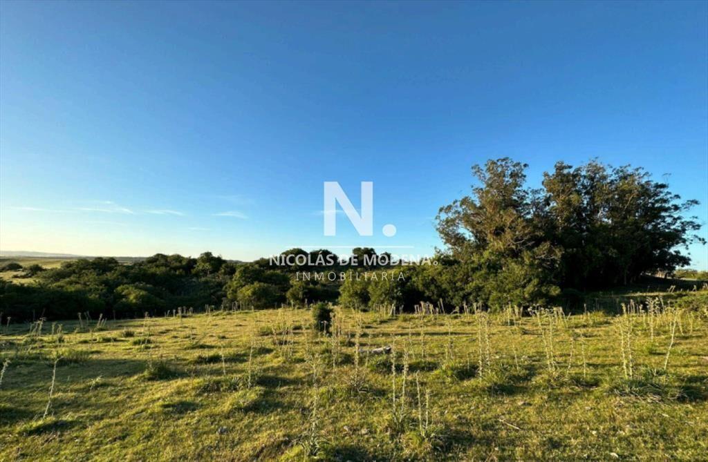 Vende campo de 42 has, en Maldonado Garzon.