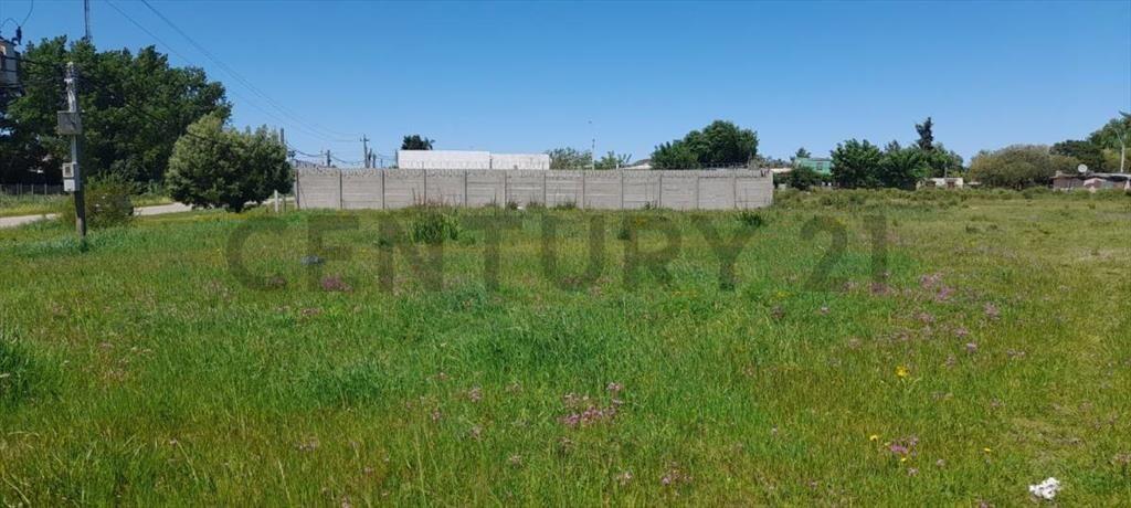 Venta/Terreno/Playa Pascual/Terreno 523 m²/ CERCA DE RUTA...