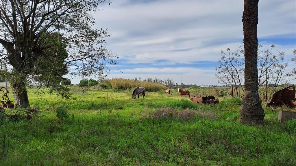 Fracción de chacra Ruta1 K15.500 4,5 hectáreas