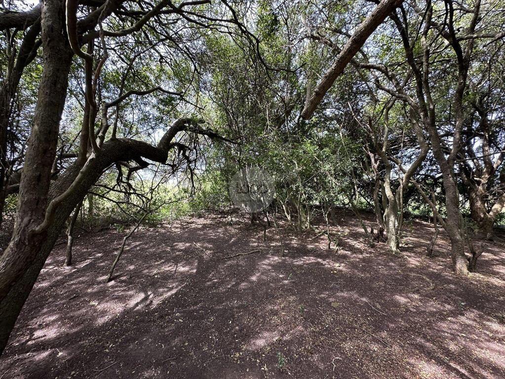 Venta Chacra Maldonado - Un lugar único que invita a descub