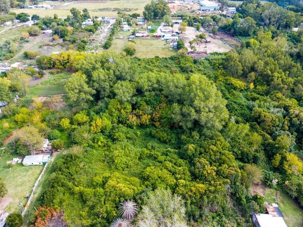 Venta de campo 13.125m² Piedras Blancas Montevideo