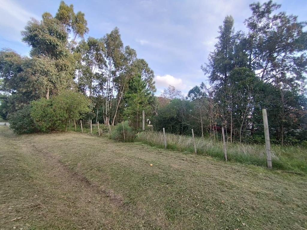 Terreno en Los Pinos