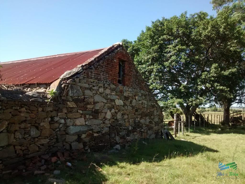 Pintoresco campo Ganadero muy bien ubicado.