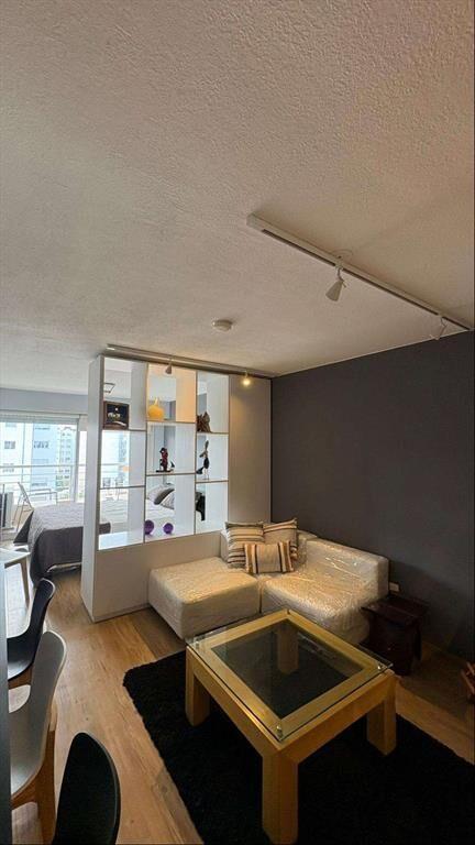 Monoambiente en alquiler con muebles en Punta carretas