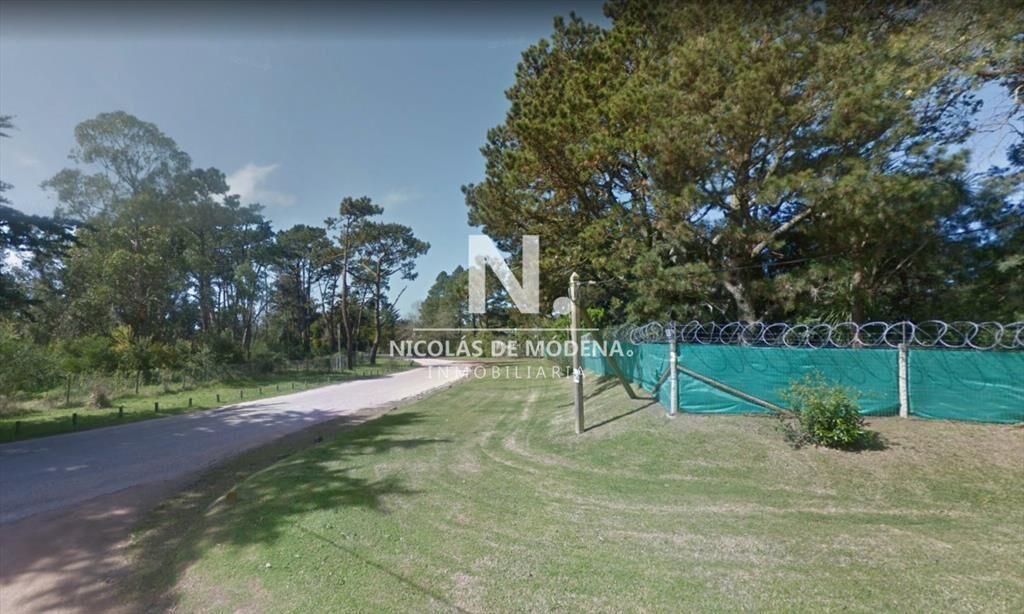 Terreno de gran superficie en zona habitada todo