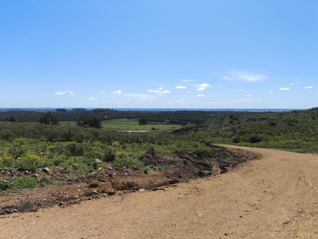 Venta de chacras de 5 hectáreas en Lavalleja, cerca de Mina