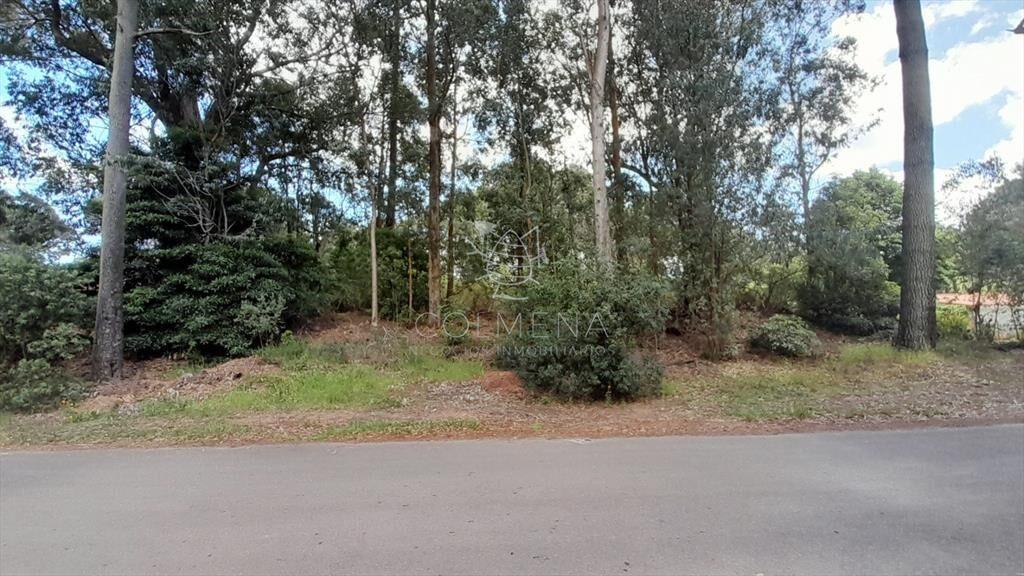 Terreno en Punta Ballena, Portezuelo Bosque
