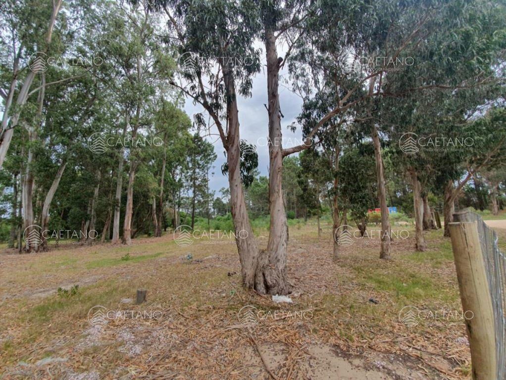 Terreno en venta!
