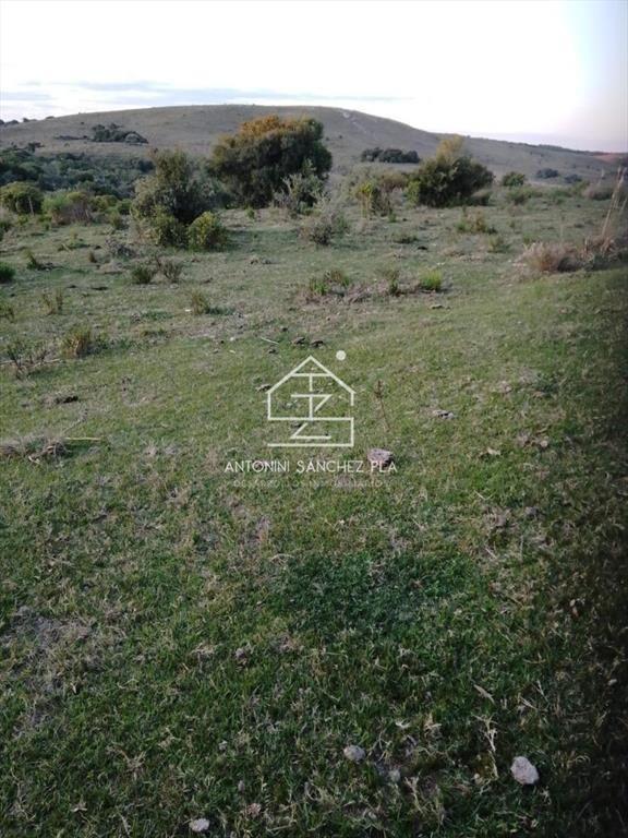 Campo Cerro Aspero Rocha