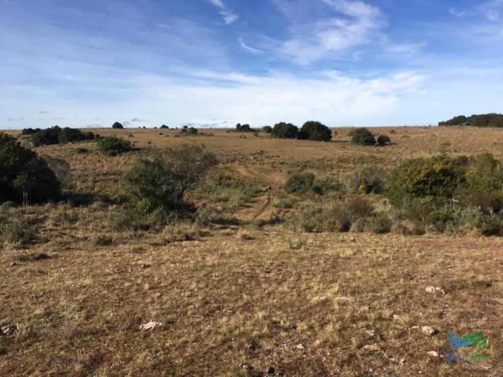 47 Has a 20 minutos Jose Ignacio y 3 kms de R.9