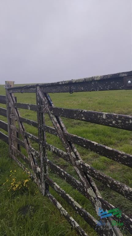 Campo de casi 9 hectáreas en venta