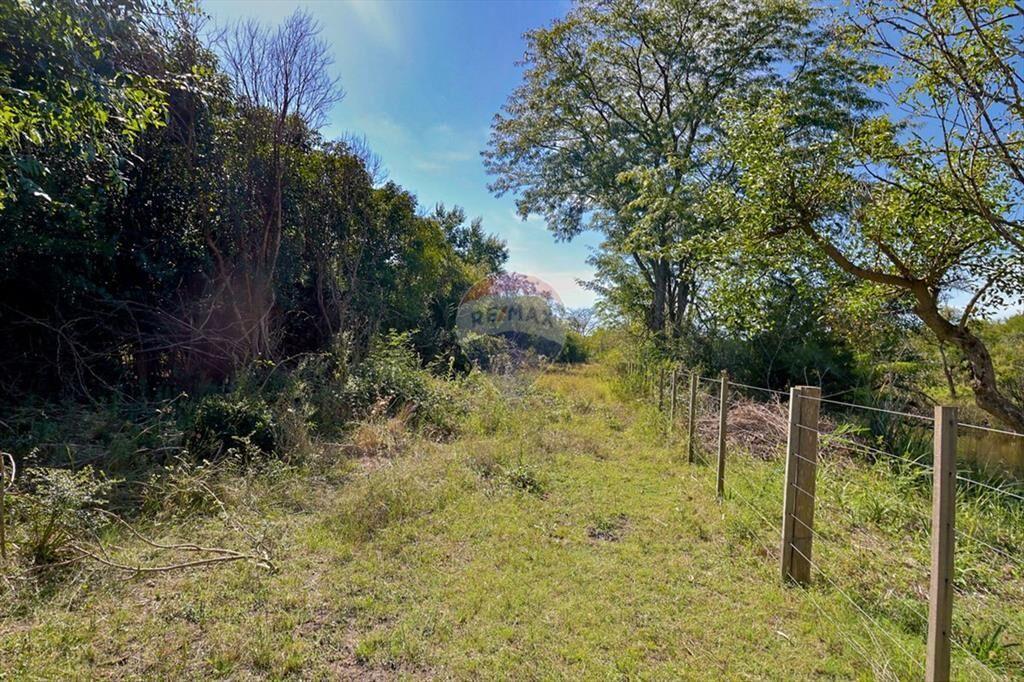 VENTA DE CAMPOS CHACRA, EN LAS BRUJAS, CERRILLOS