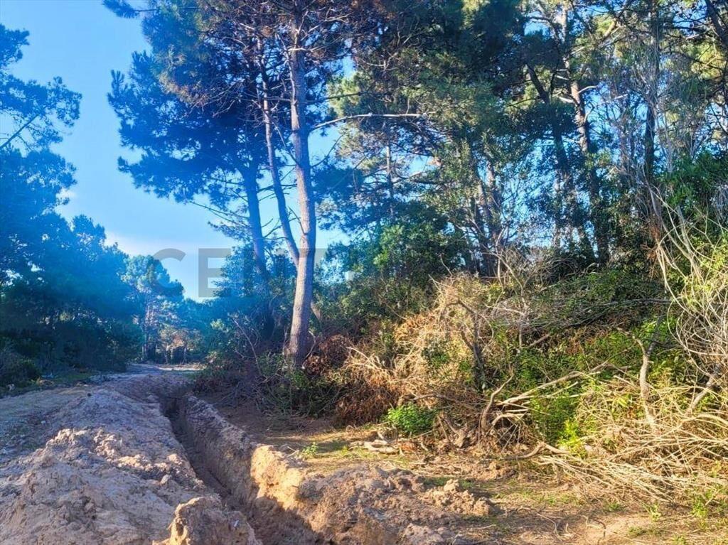 VENTA TERRENO ESQUINA en LA SERENA, La Paloma, ROCHA
