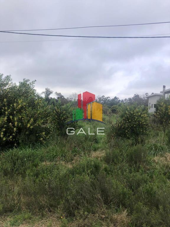 Terrenos altos en La Barra