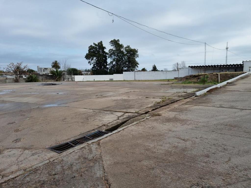 Depósito - Centro Logístico, ruta 67 próximo ruta 5,Las Pie