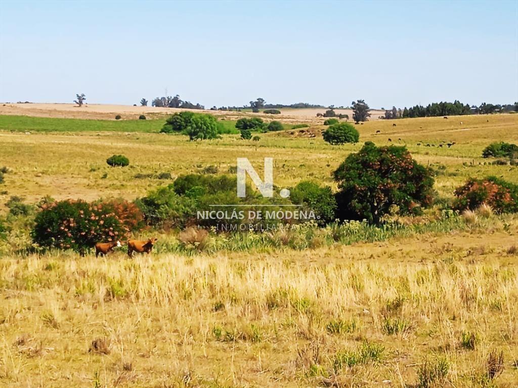 Campo en Jose Ignacio,