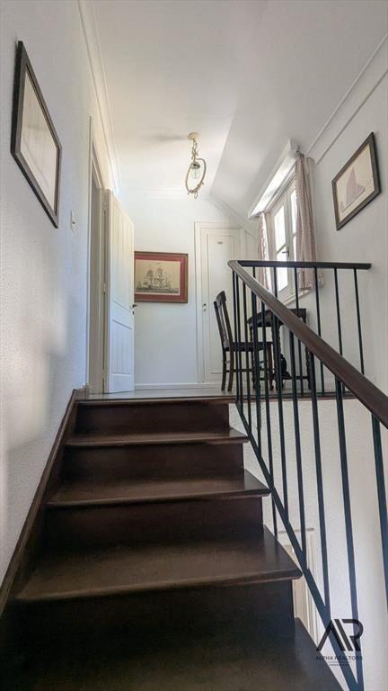 Casa en alquiler anual de 4 dormitorios en suite con pis...
