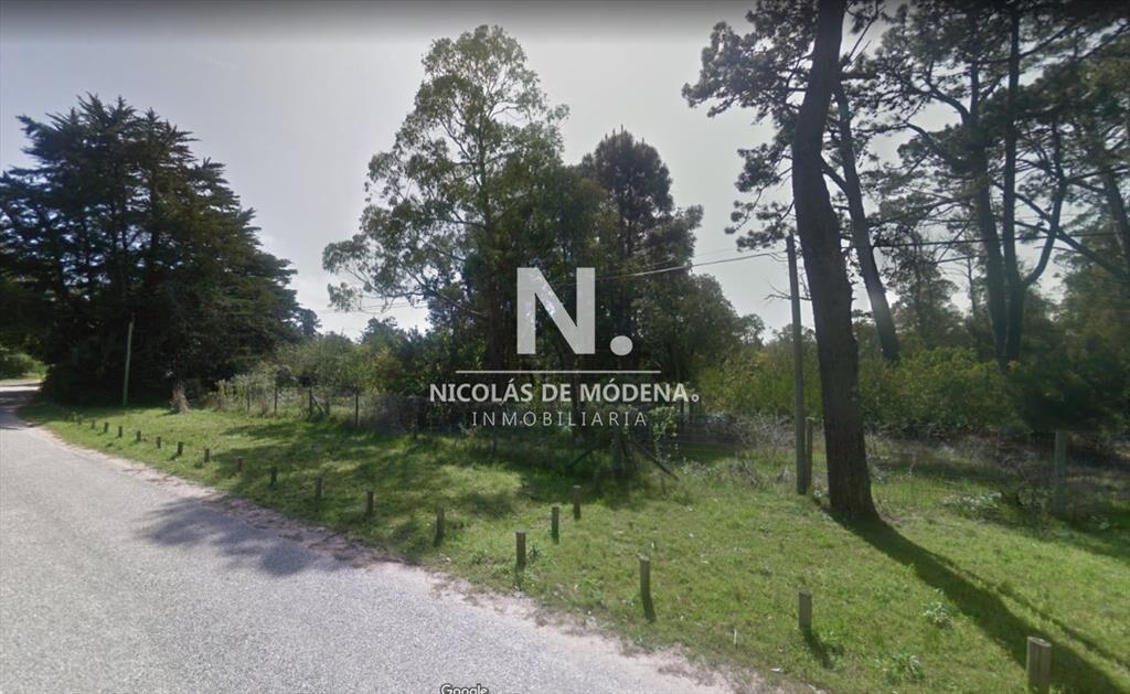 Terreno de gran superficie en zona habitada todo