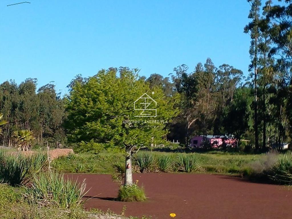 Chacra en La Pataia con mejoras