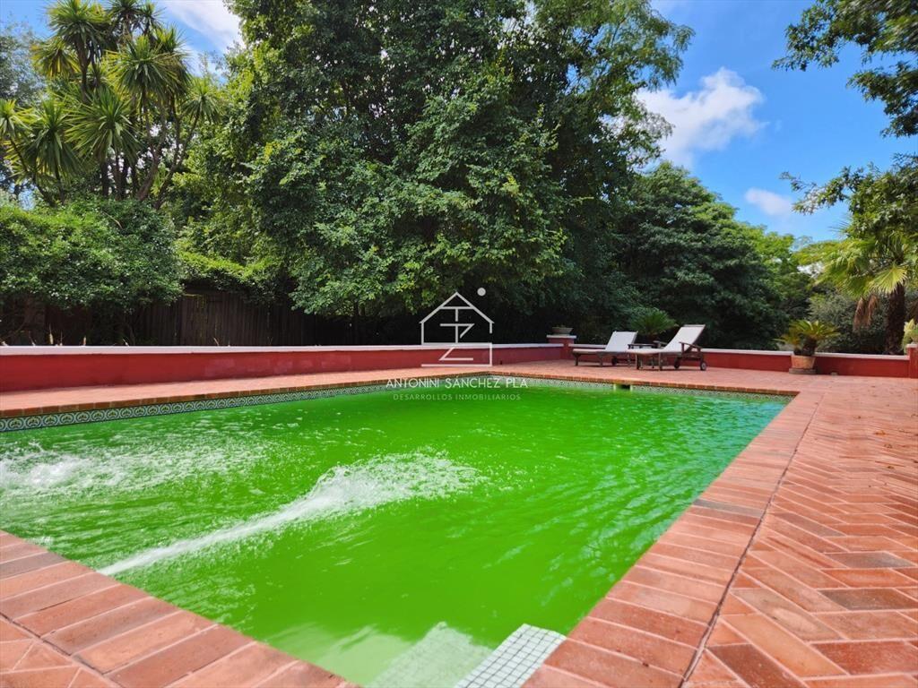 Venta chacra tipo quinta, Punta Ballena