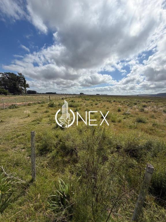 Venta de campo en Aiguá, Maldonado.