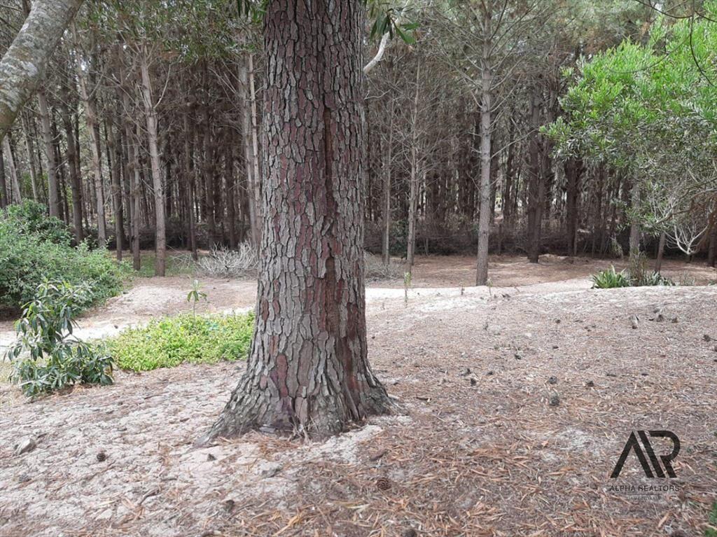 Terreno en venta de 1900m2 ubicado en Solanas