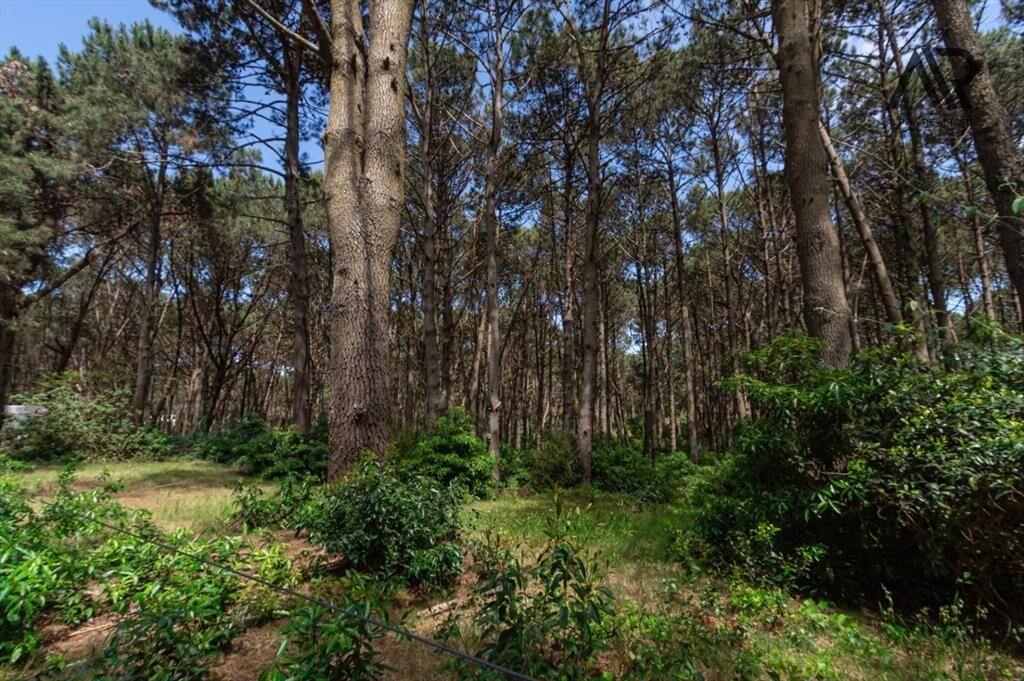 Terreno en venta de 1750m2 ubicado en Solanas