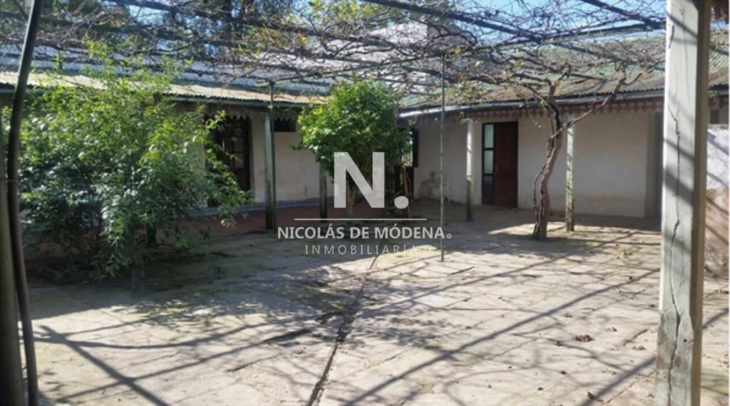 En venta campo tipo criador en Montevideo - y