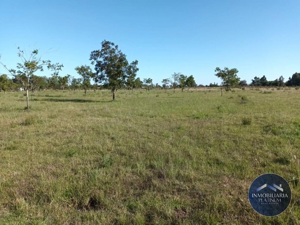 Campo en venta de 9503m2 ubicado en Santa Monica