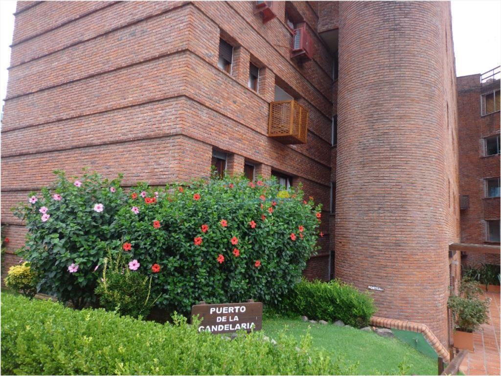 Apartamento de 1 dormitorio en alquiler temporal
