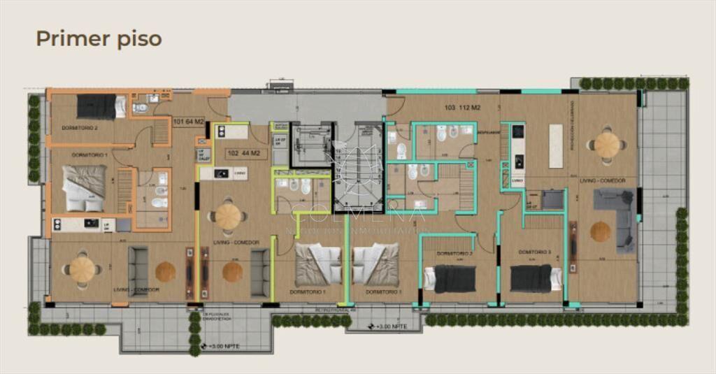 PROYECTO MODELO, nuevo lanzamiento en Punta del