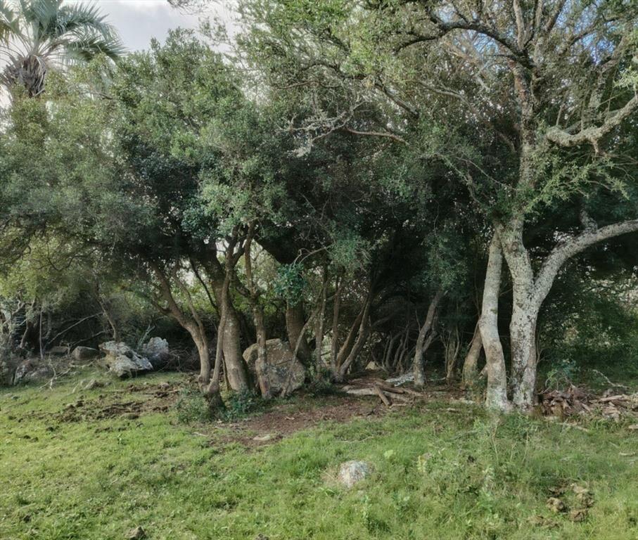 Chacra en Venta entre Ruta 12 y Ruta 60