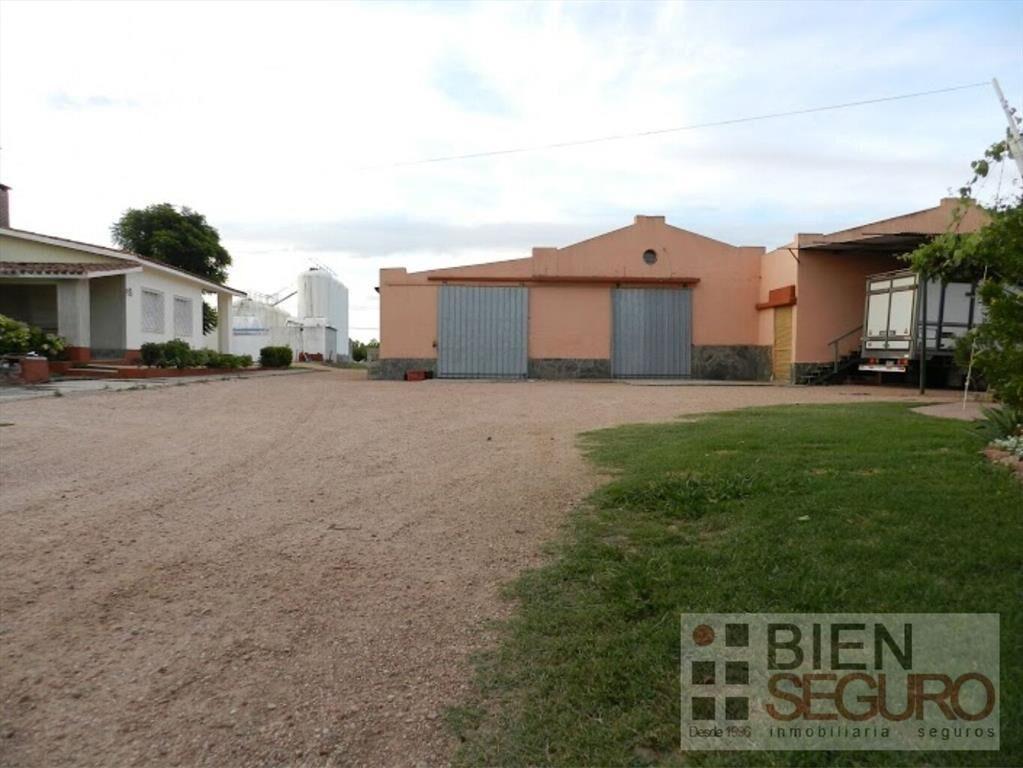 Gran terreno de 11,7 hás, Bodega, viñedo y 2 casas en venta