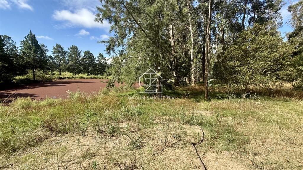 VENTA TERRENO MANGRULLOS EL CHORRO LA BARRA PUNTA
