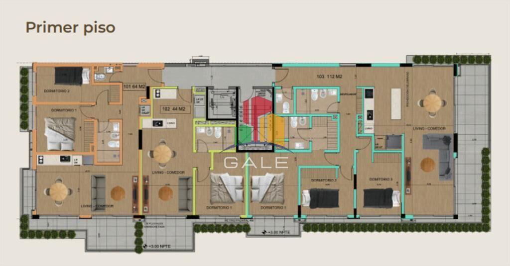 PROYECTO MODELO, nuevo lanzamiento en Punta del