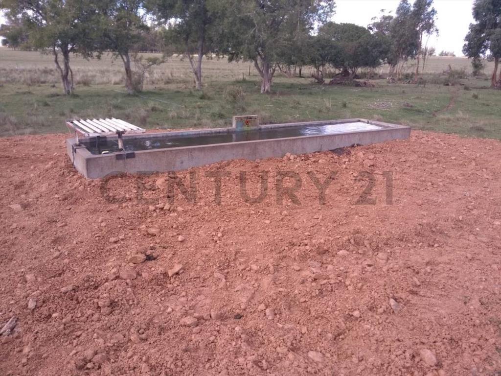 Venta Campo Productivo en Lavalleja de 26,5 hectáreas. Ru...