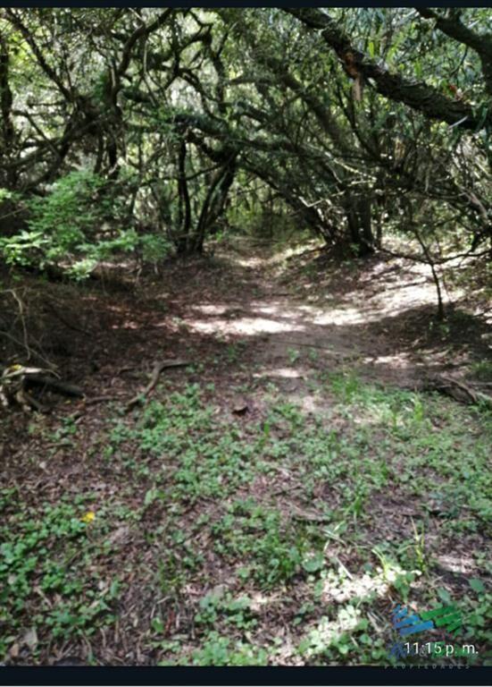 Chacra con arroyo y monte nativo a 10 minutos de