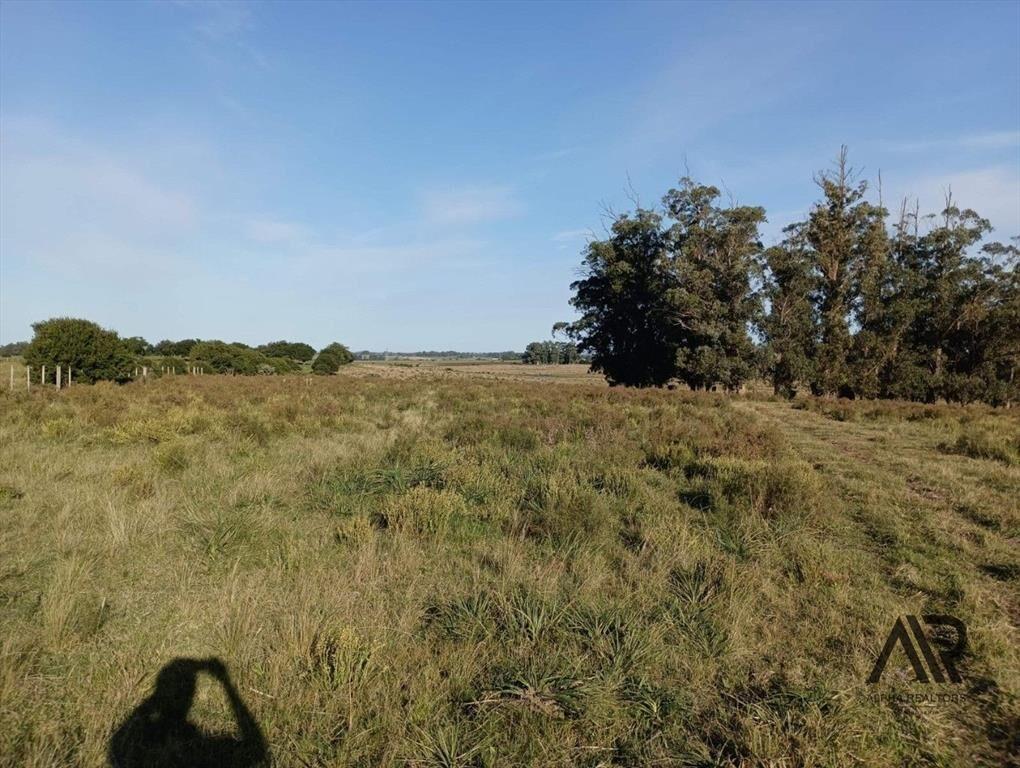 Venta Muy Buen Campo De 78 Hectáreas, Zona Muy Accesible...